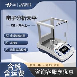 GE0205/GE1005-2十万分之一实验室称重天平 高分析测量仪